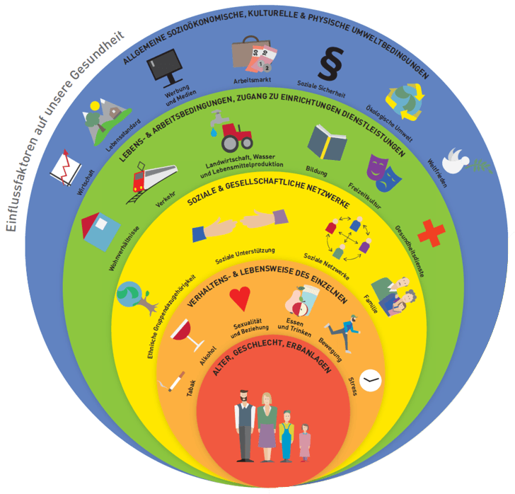 Grafik zeigt 5 Einflussgebiete auf unsere Gesundkeit